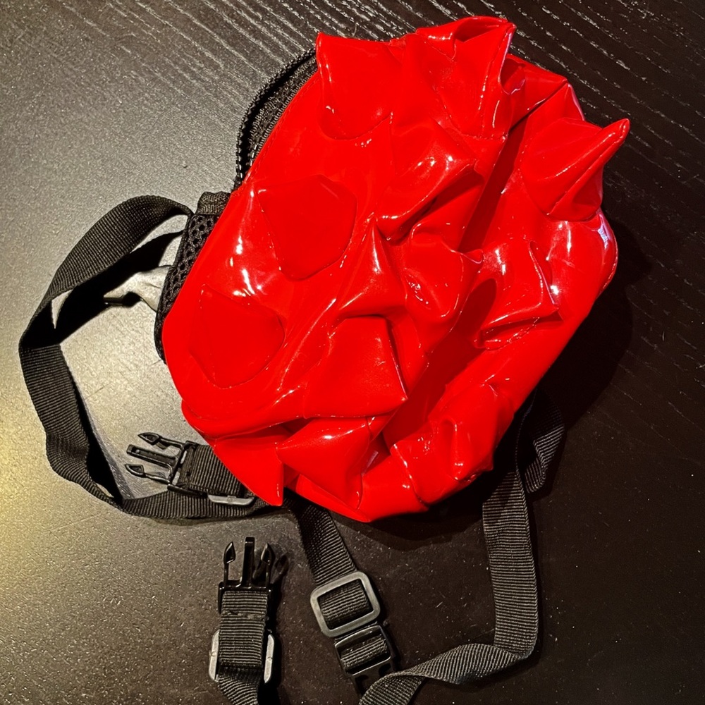 Red Backpack For Small Dog